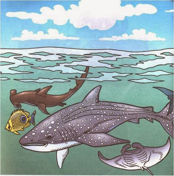 Image Result For Cerita Alkitab Hari Penciptaan Image Result For Cerita Alkitab Hari Penciptaan