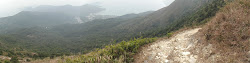 View from a mountain down to Pui Wo.