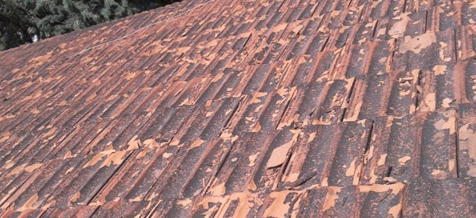 Tratamiento de Humedades: Impermeabilización de Tejados