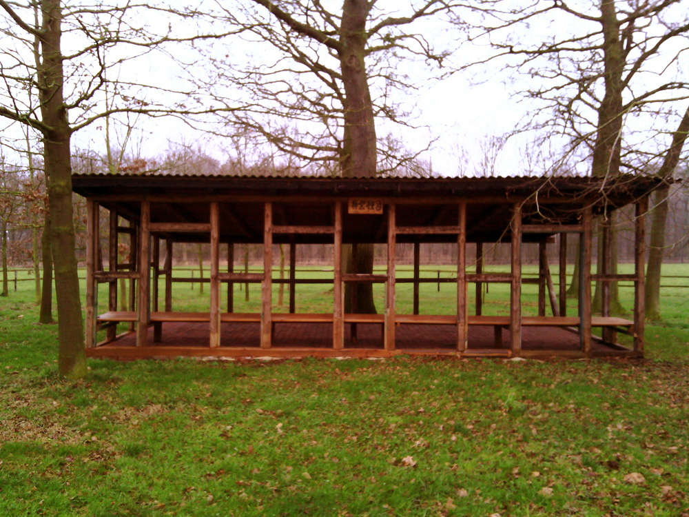 zen, zazen, meditáció, Kolozsvár, rinzai, szessin zen, zazen, meditáció, Kolozsvár, rinzai, szessin