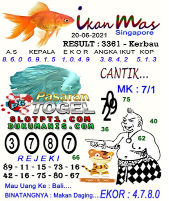 Kodal prediksi singapura