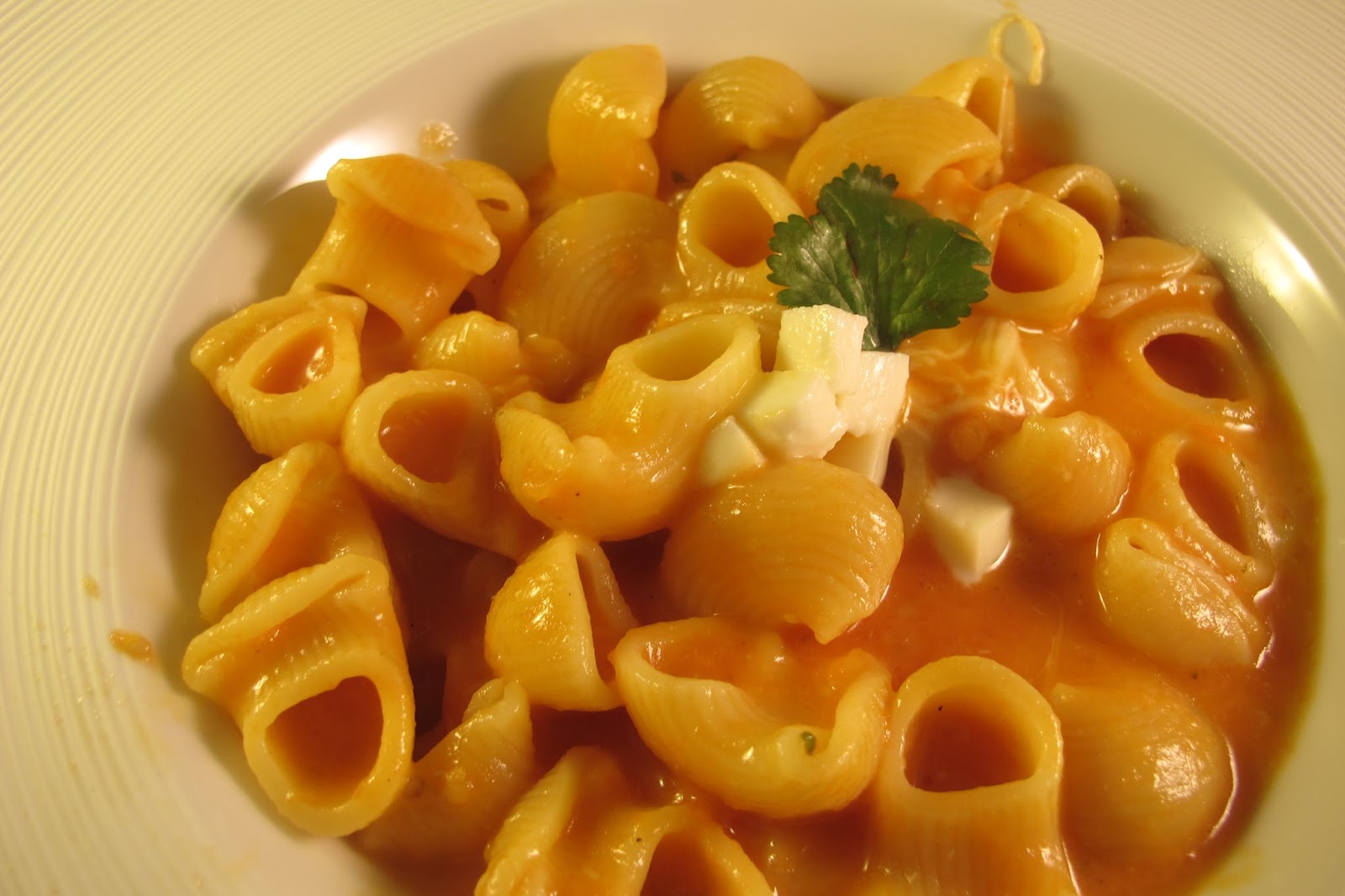 Pâtes à la sauce tomate et mozzarella