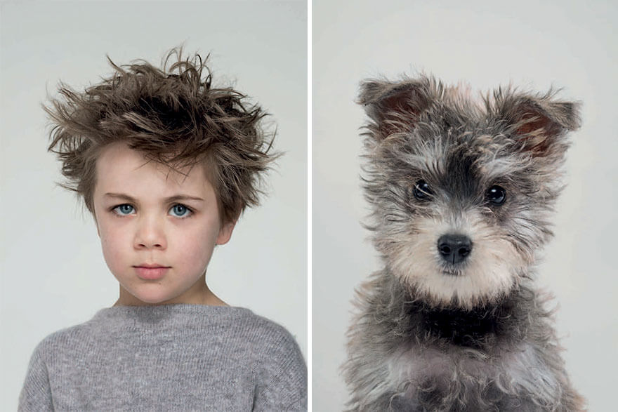 Photographer Puts Dogs Side By Side With Their Owners And Their Resemblance Is The Cutest Thing We Saw Today