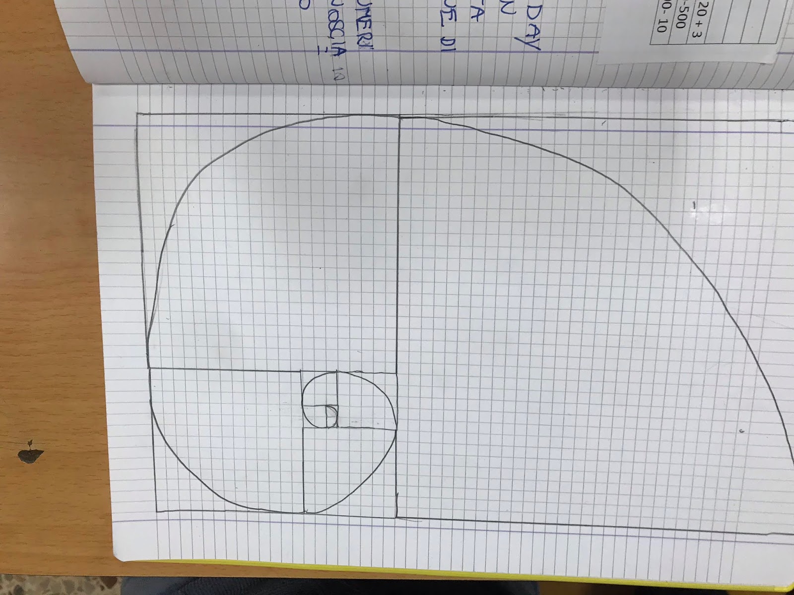 Il Fibonacci Day e la spirale "magica"!