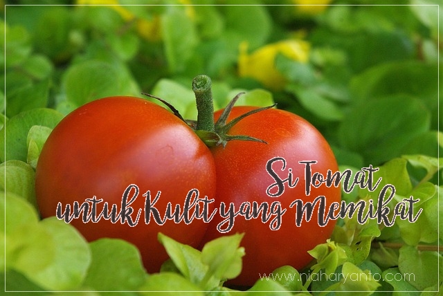 Nia Haryanto S Blog Si Tomat Untuk Kulit Yang Memikat