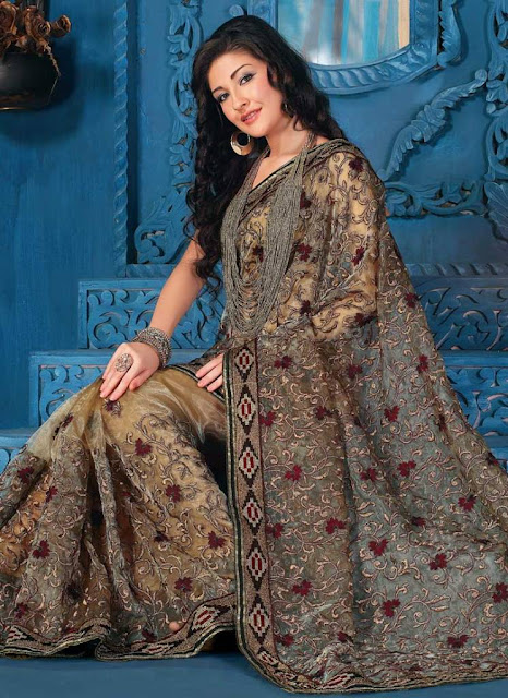 Pakistani & Indian Saree Trend ~ Fashion Point
