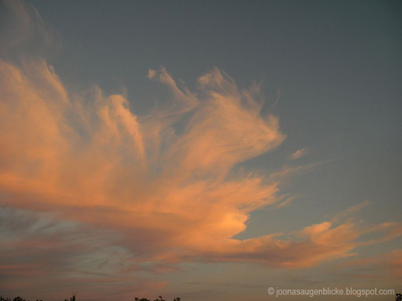 Raumfee 07 01 2012 08 01 2012