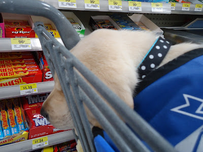 Picture of Brandon sleeping in the shopping buggy - behind him you can see the CANDY section! (My boy knows how to shop!)
