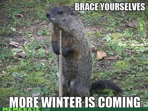 Click for more  Groundhog Day funnies! - Ground hog day sillies -- #FridayFrivolity funny memes via Devastate Boredom