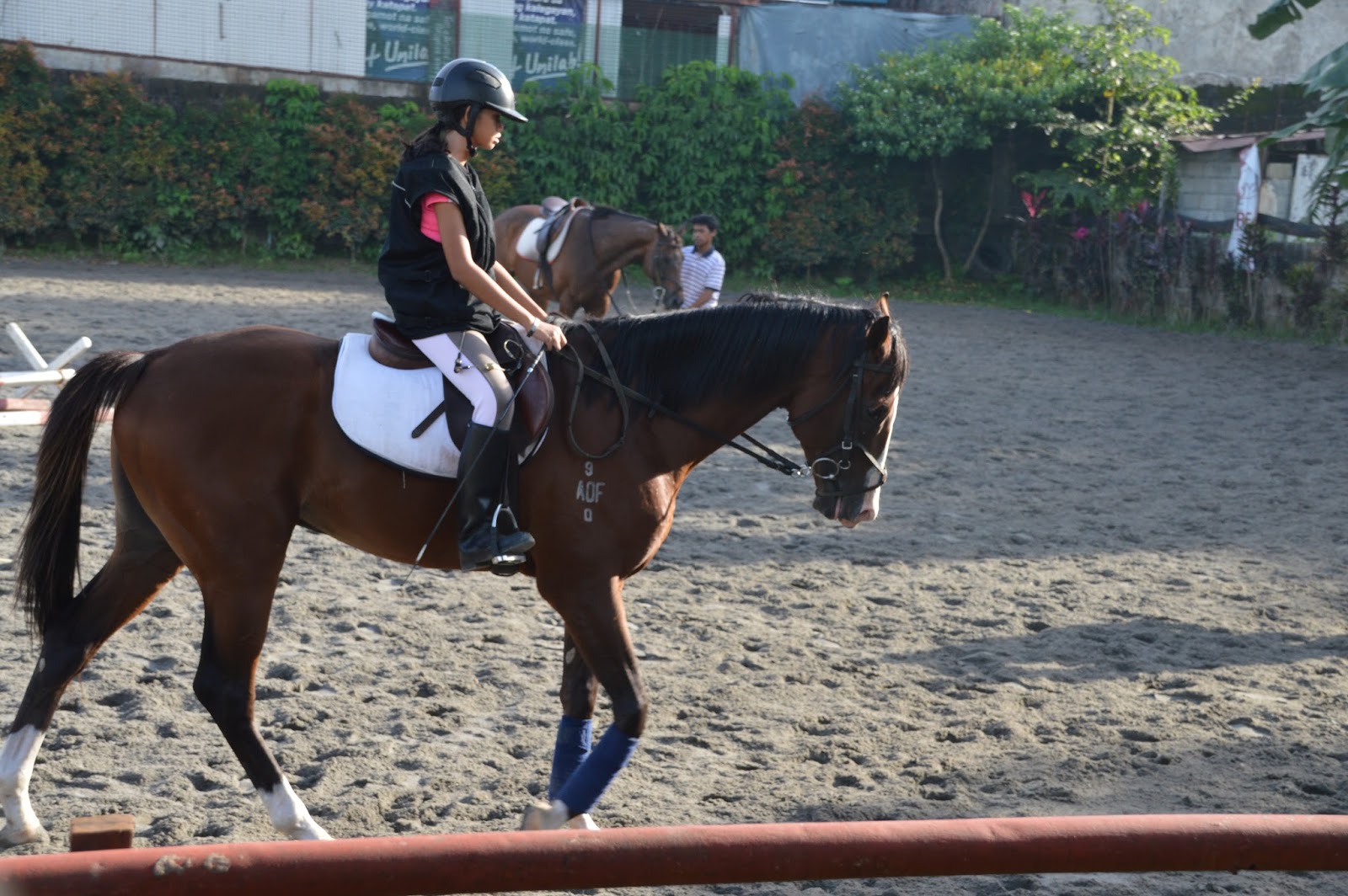 Horse Riding Philippines Yana Loves the Cavaletti Horse Riding Lesson