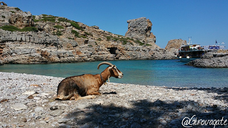 spiaggia palatia saria karpathos