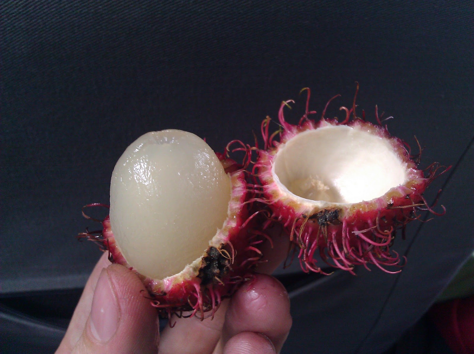 TJ's adventures in Costa Rica