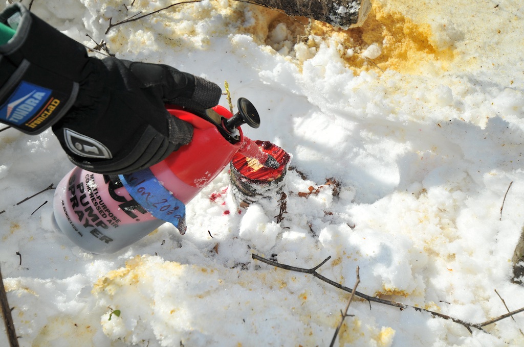 Good Oak News Beaver Blades Make Brush Cutting More Efficient