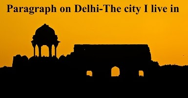 Essay on delhi food picture
