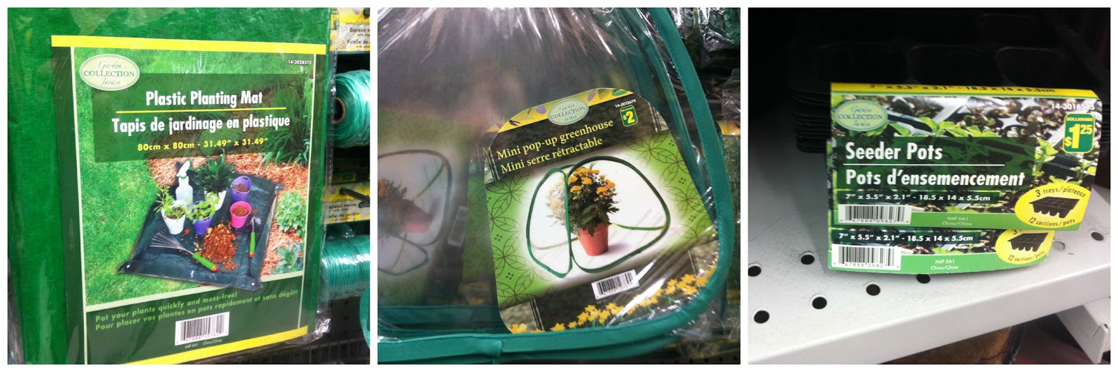Meredith's Garden Blog The Dollarama Garden