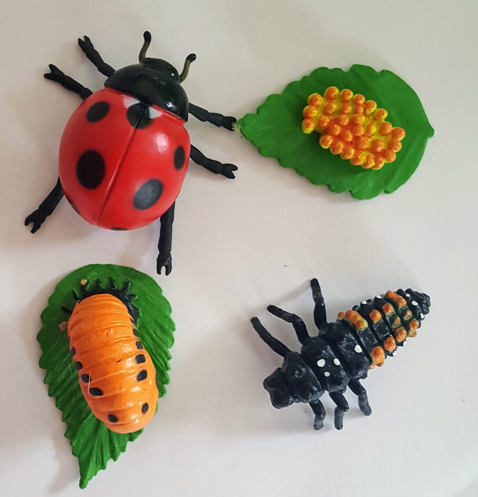 6 Activities to Learn About Ladybugs! – Swell Mommy