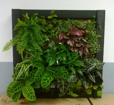 Curso jardines verticales Madrid : Jardines verticales y cubiertas