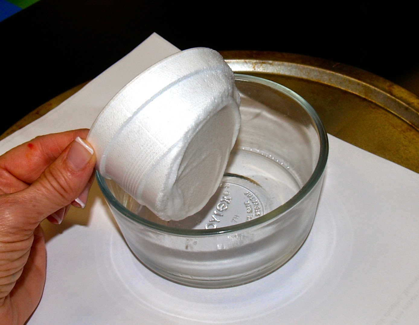 Styrofoam Peanuts and Acetone Experiment with Interactive Notebook