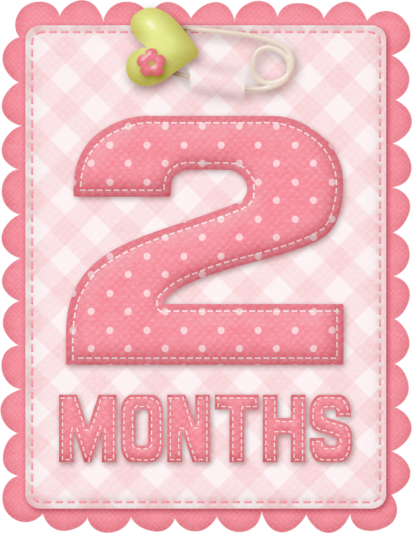 Free Printable Baby Month Counter For Girls Oh My Baby free-printable-baby-month-counter-for-girls-oh-my-baby