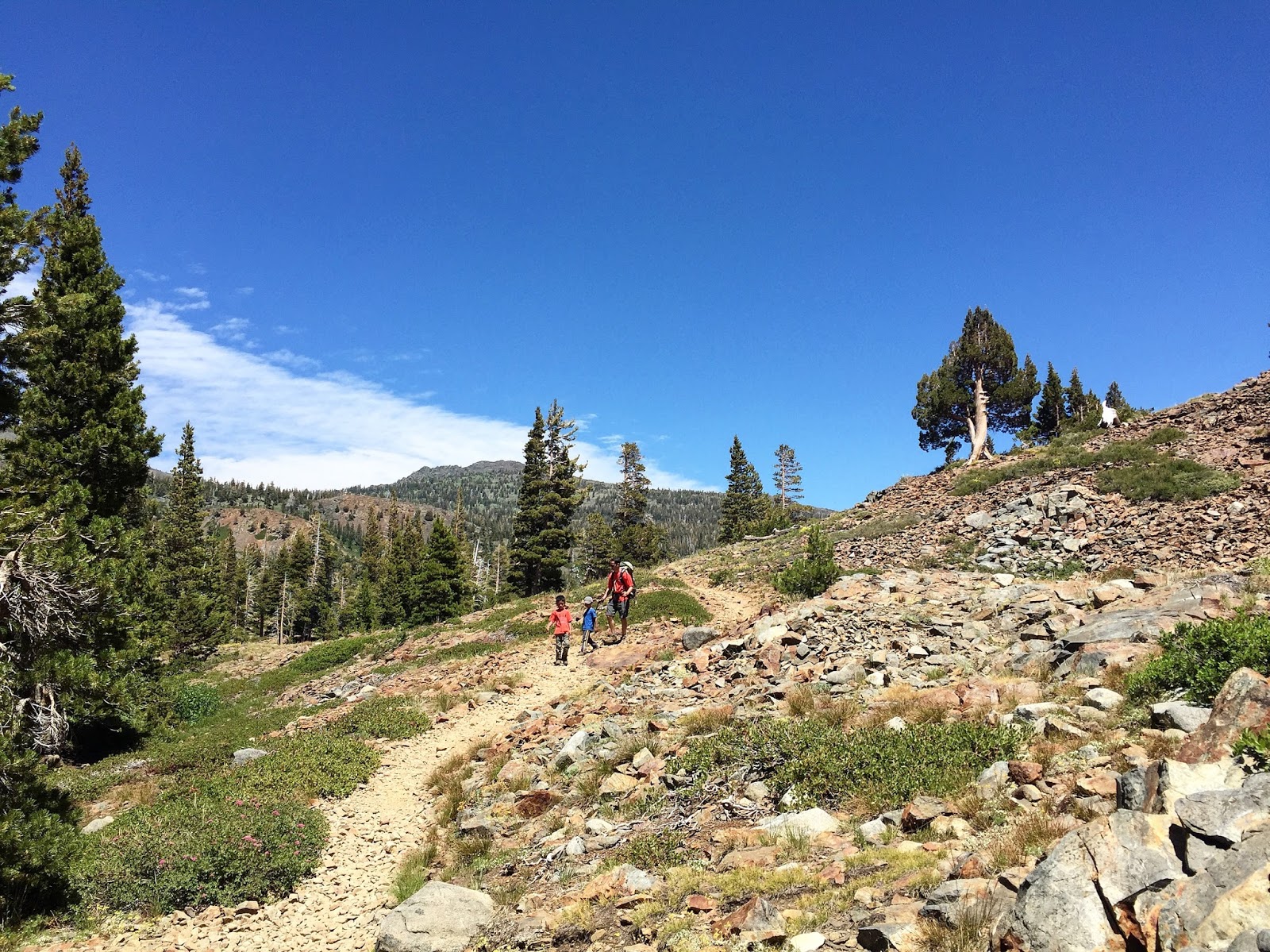 RunHikePlay Desolation Wilderness Backpacking Trip Day 3 Hike to
