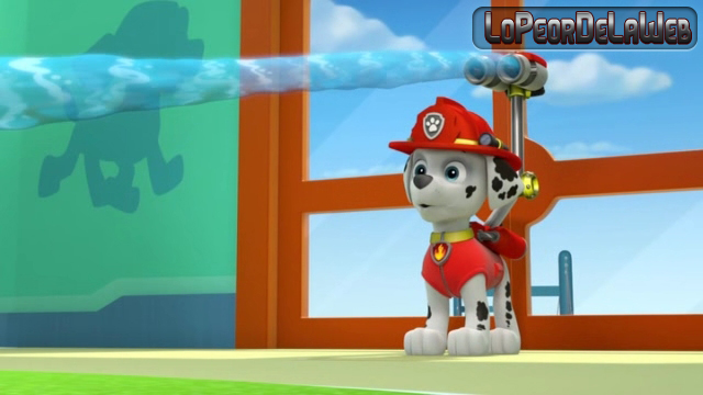 Paw Patrol :Marshall And Chase On The Case 2015 DVDRip latin