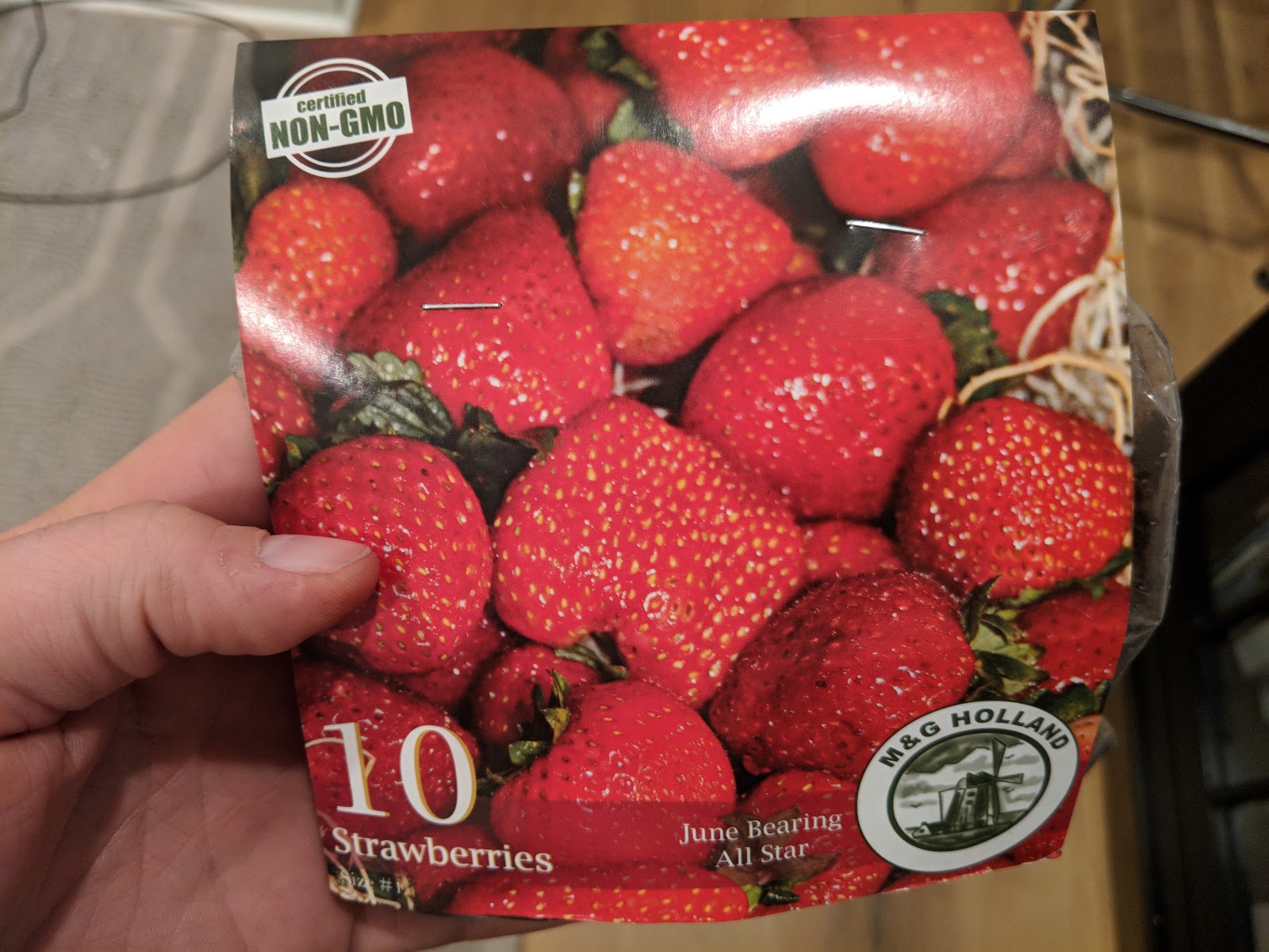 10 Bare Root Strawberry Plants A Soil Experiment