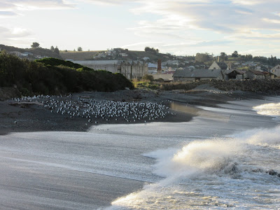 Playa de Oamaru, en Nueva Zelanda Playa de Oamaru, en Nueva Zelanda