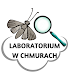 Laboratorium w chmurach.