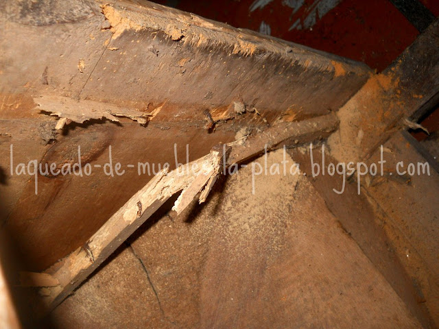 Proteger la madera insectos