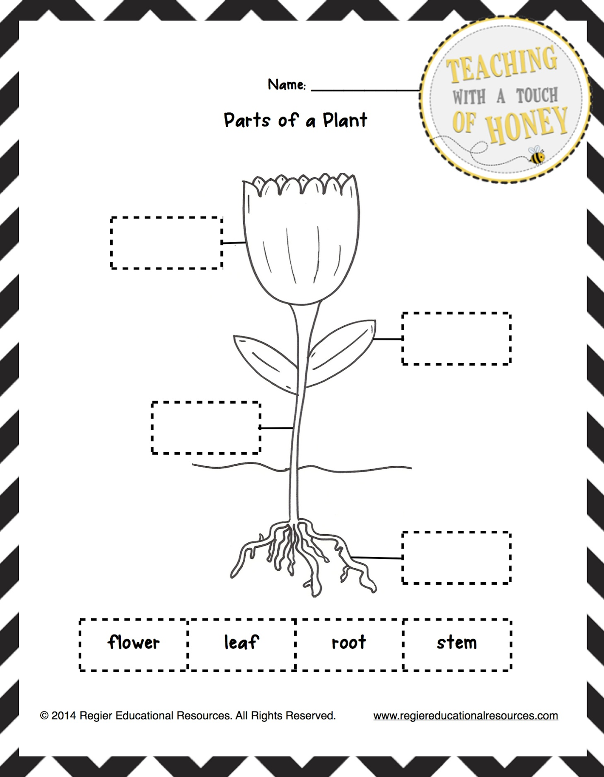 worksheet-parts-of-plants-worksheet-grass-fedjp-worksheet-study-site