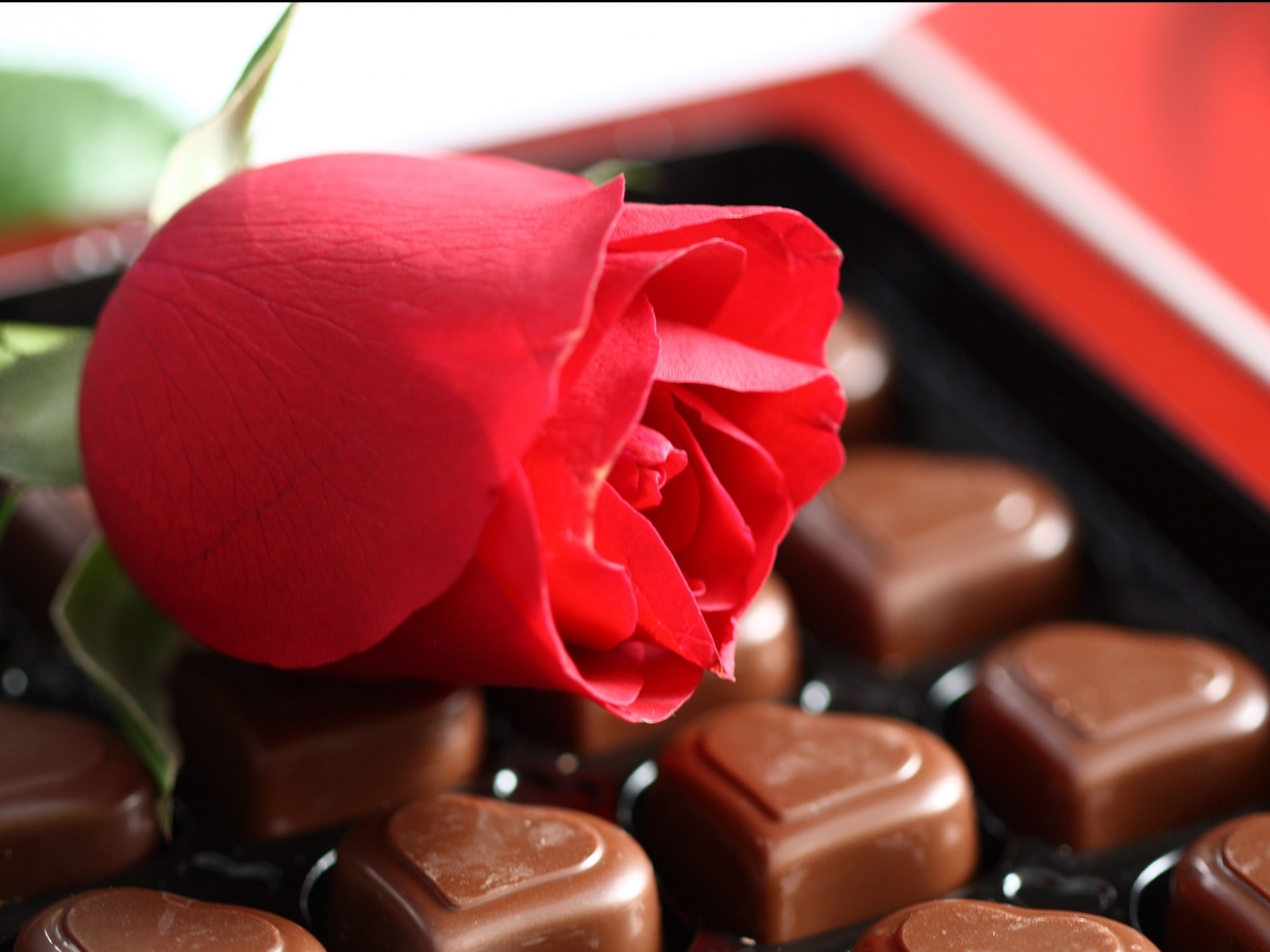 Čokolada | Slike za pozadinu kompjutera