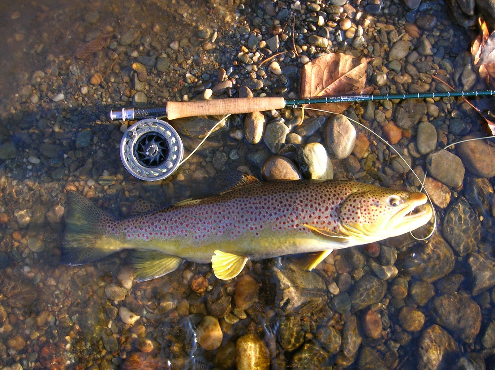 The Adventures and Musing of Drew Price, Angler 10 Tips for Fall