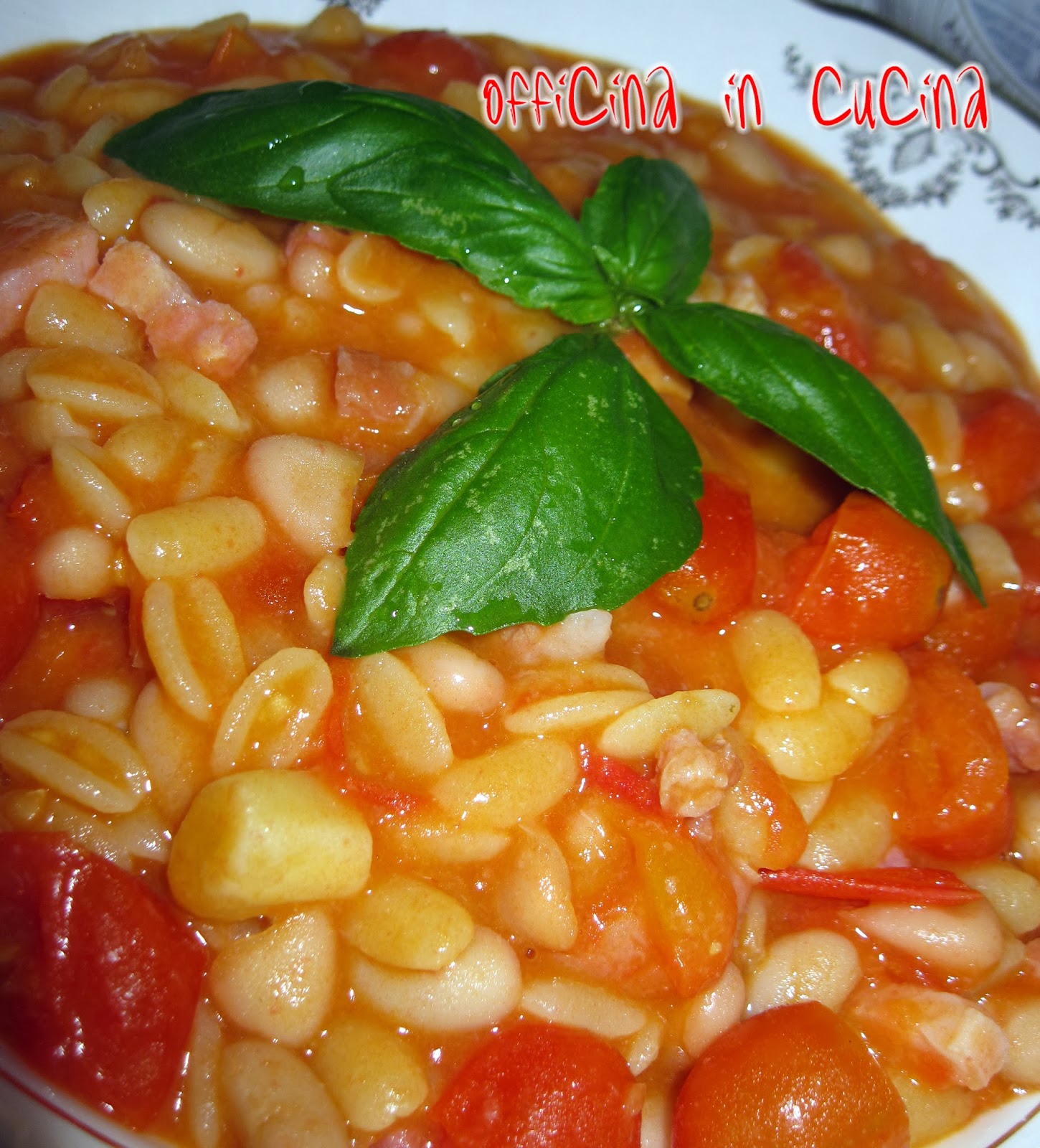 Malloreddus, Fagioli Bianchi e Pancetta