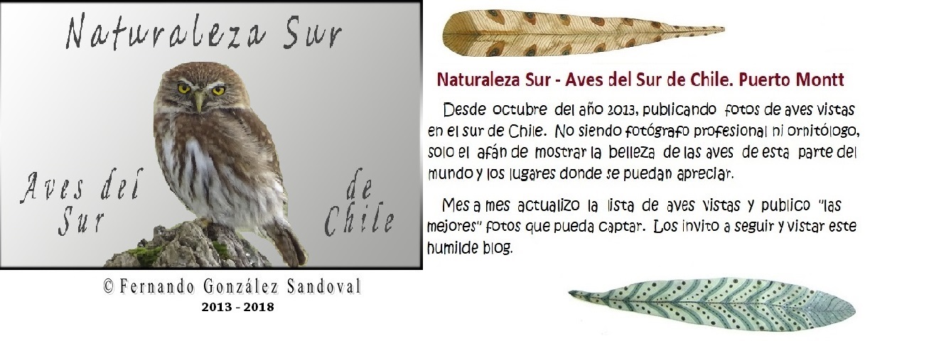 Naturaleza sur