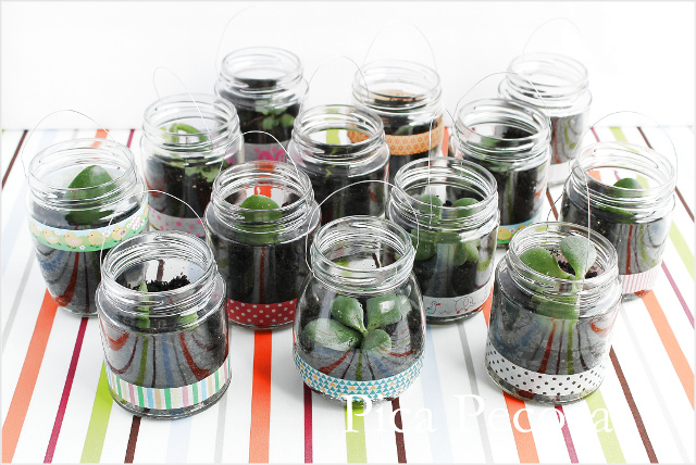 tutorial-hacer-regalo-companeros-colegio-cumpleanos-planta-en-bote-cristal-con-asa-alambre-diy