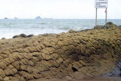 Pantai Watu Ulo Jember, Pantai Batu Bersisik Ular