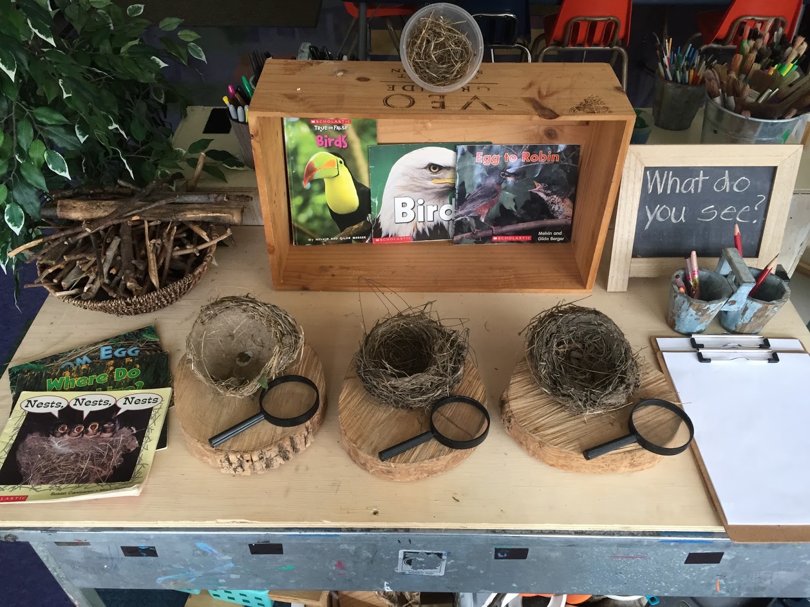 Inquiring Minds Mrs. Myers' Kindergarten The Eagle Project A Student