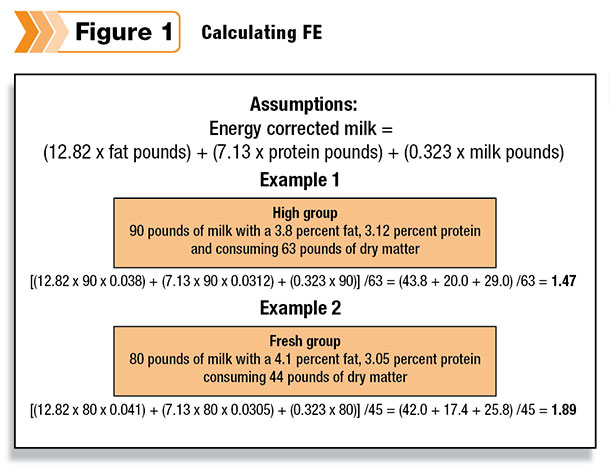 FCR feed Conversion Ration fcr-feed-conversion-ration