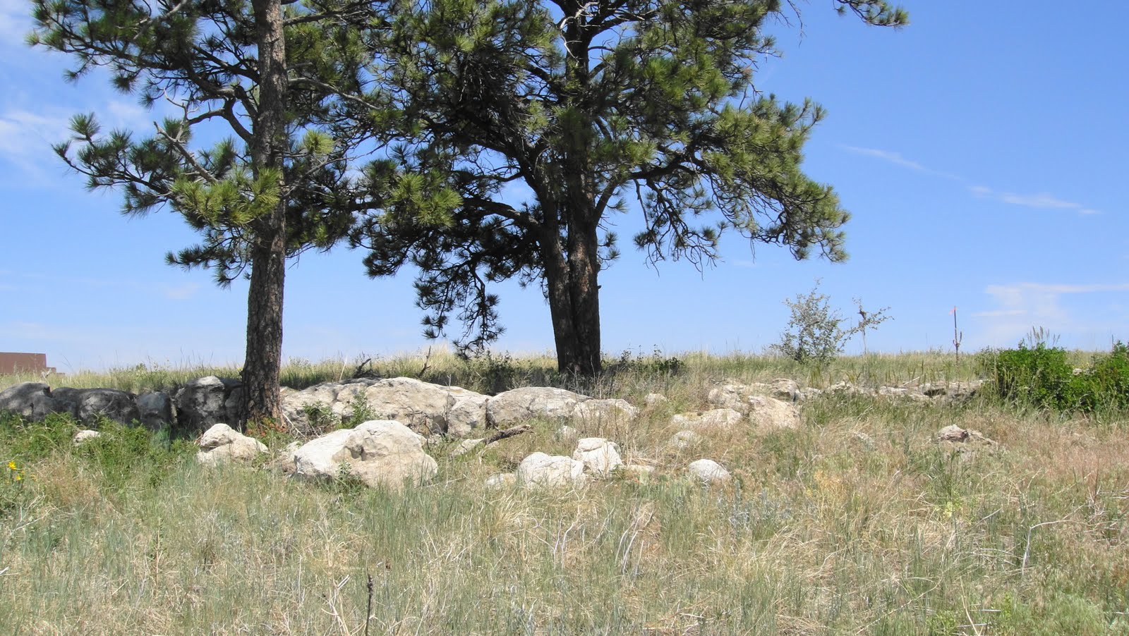 Moondance Ranch Fencing Day 1