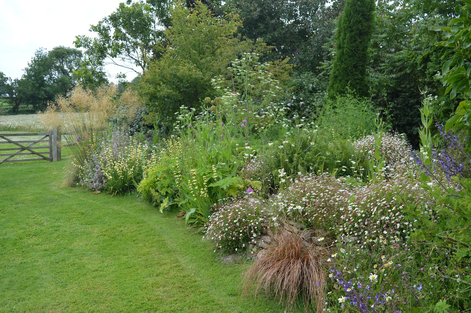 Noel's Garden Blog: Is Naturalistic Planting almost Mainstream now?