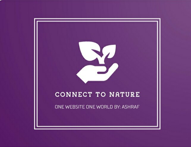 CONNECT TO NATURE