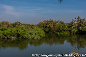 Ranganathittu Birds Ranganathittu Birds