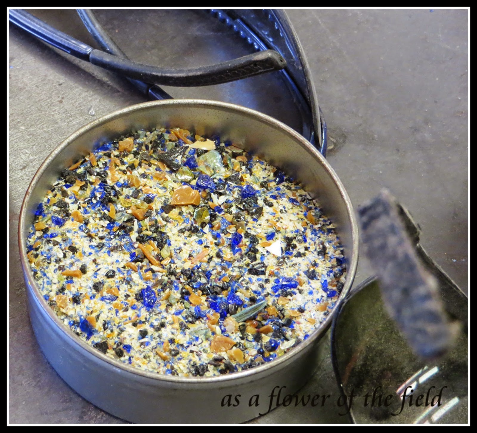 As a Flower of the Field Sunspots Studios Glassblowing