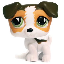 Littlest Pet Shop Pet Pairs Jack Russell (#804) Pet