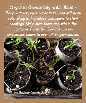 Organic Garden Seedlings started with recyclables