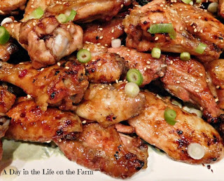 Tailgate Time! 20+ Favorite Recipes - Sweet & Spicy Wings