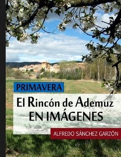 EL RINCÓN DE ADEMUZ EN IMÁGENES: PRIMAVERA