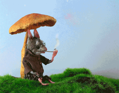 mouseshouses.blogspot.com