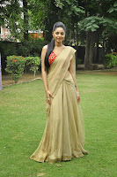 Sanam Shetty Photo Shoot in Half Saree TollywoodBlog.com