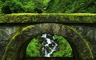 Moss Covered Old Stone Bridge Forest HD Wallpaper
